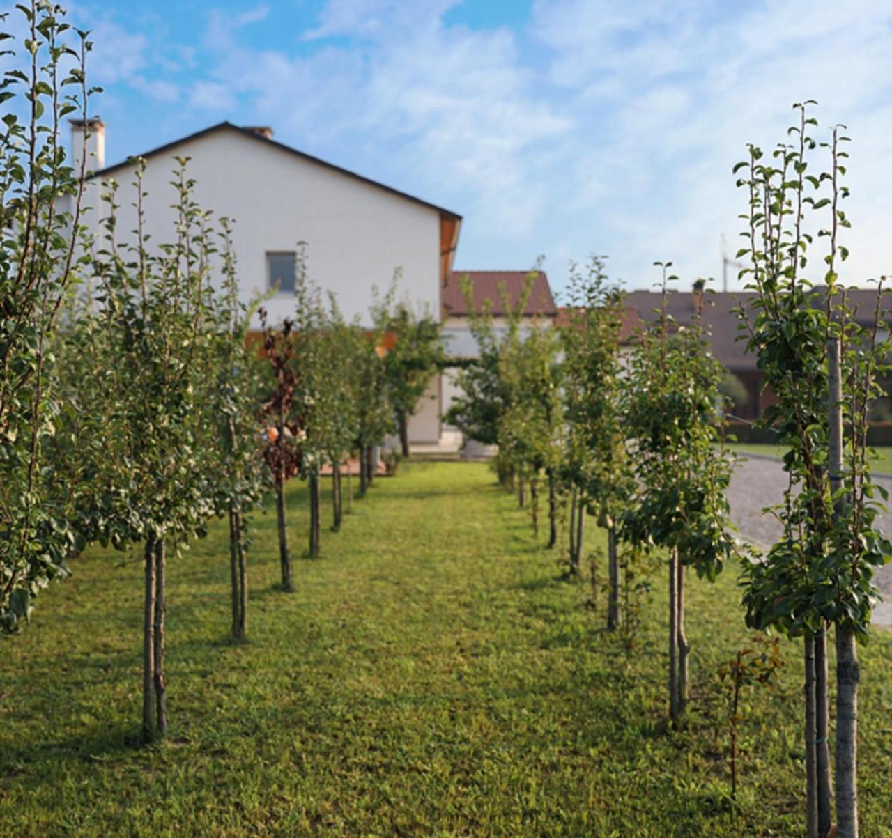 Agriturismo Corte Foscara マルコンテンタ エクステリア 写真